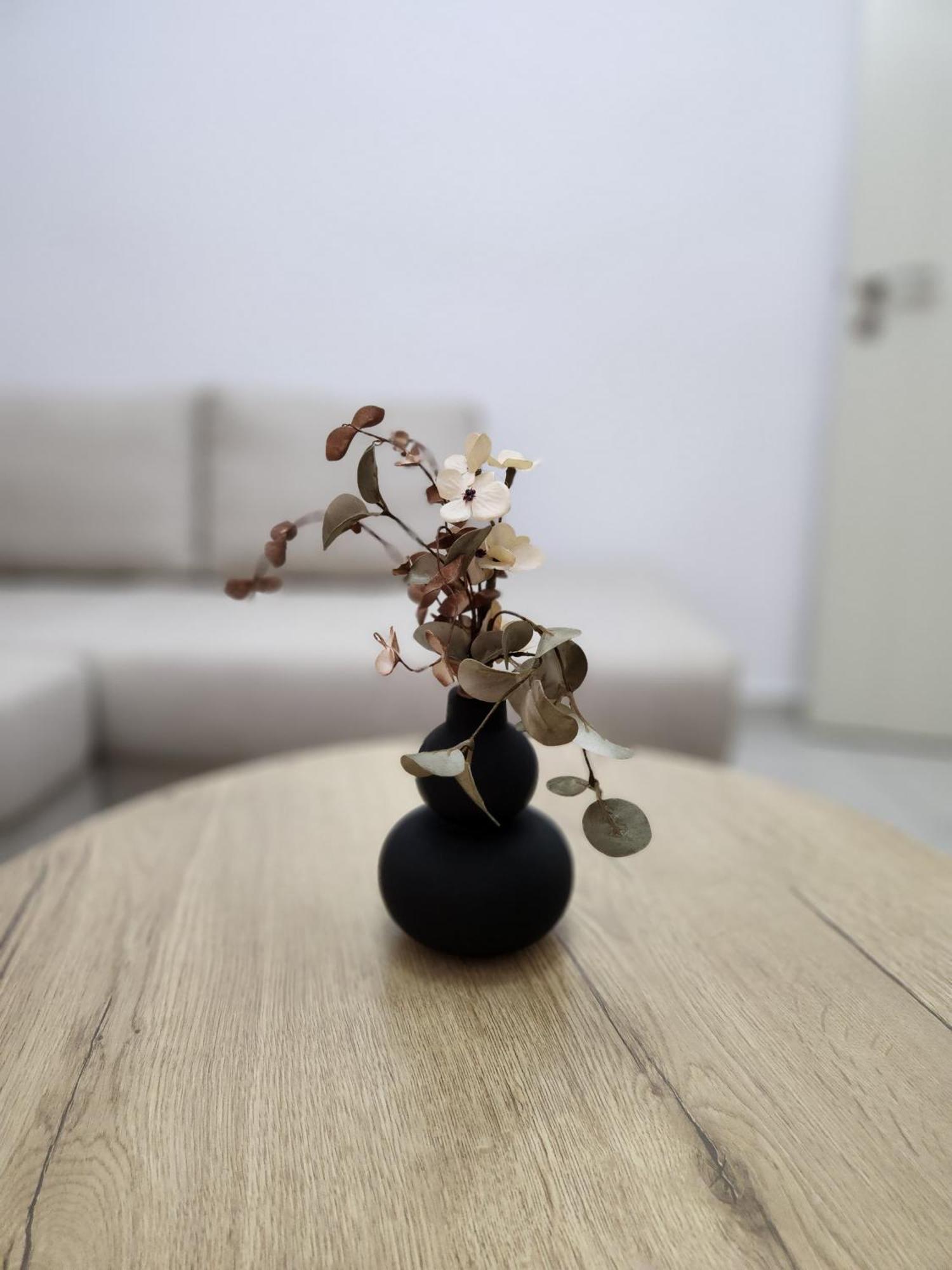 Nevi Apartment Tiran Dış mekan fotoğraf